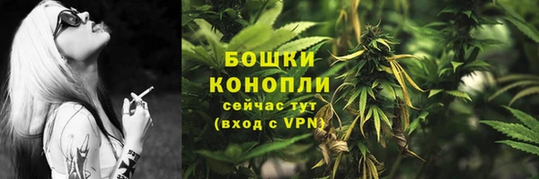 шишки Михайлов