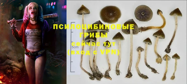 мет Надым