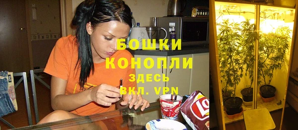 мет Надым